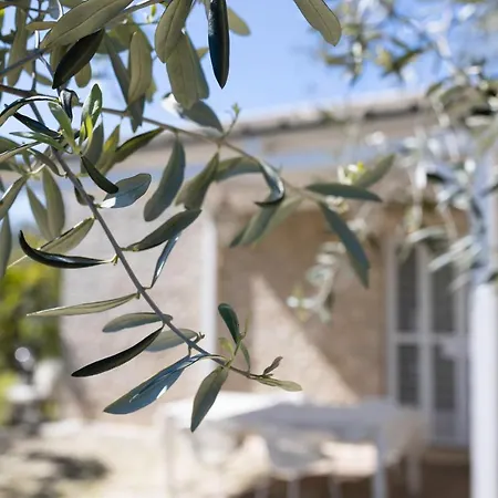 Samarelle - Exclusive With Garden And Panoramic Terrace - Villa Molfetta